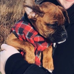 Meet your Posher, Liz